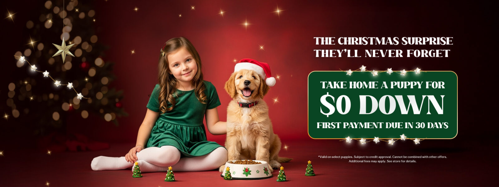 Beabull 2nd Gen Banner