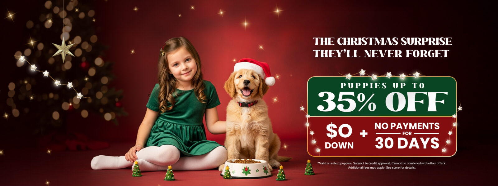 Italian Greyhound Banner